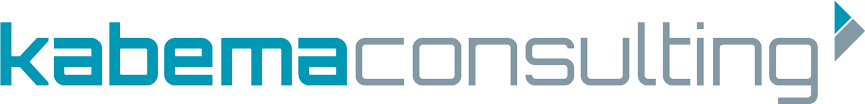 logo-Consulting-web